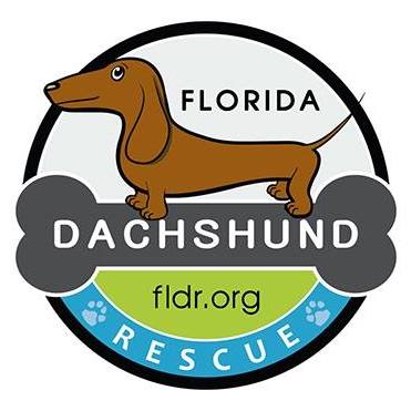Florida Dachshund Rescue logo