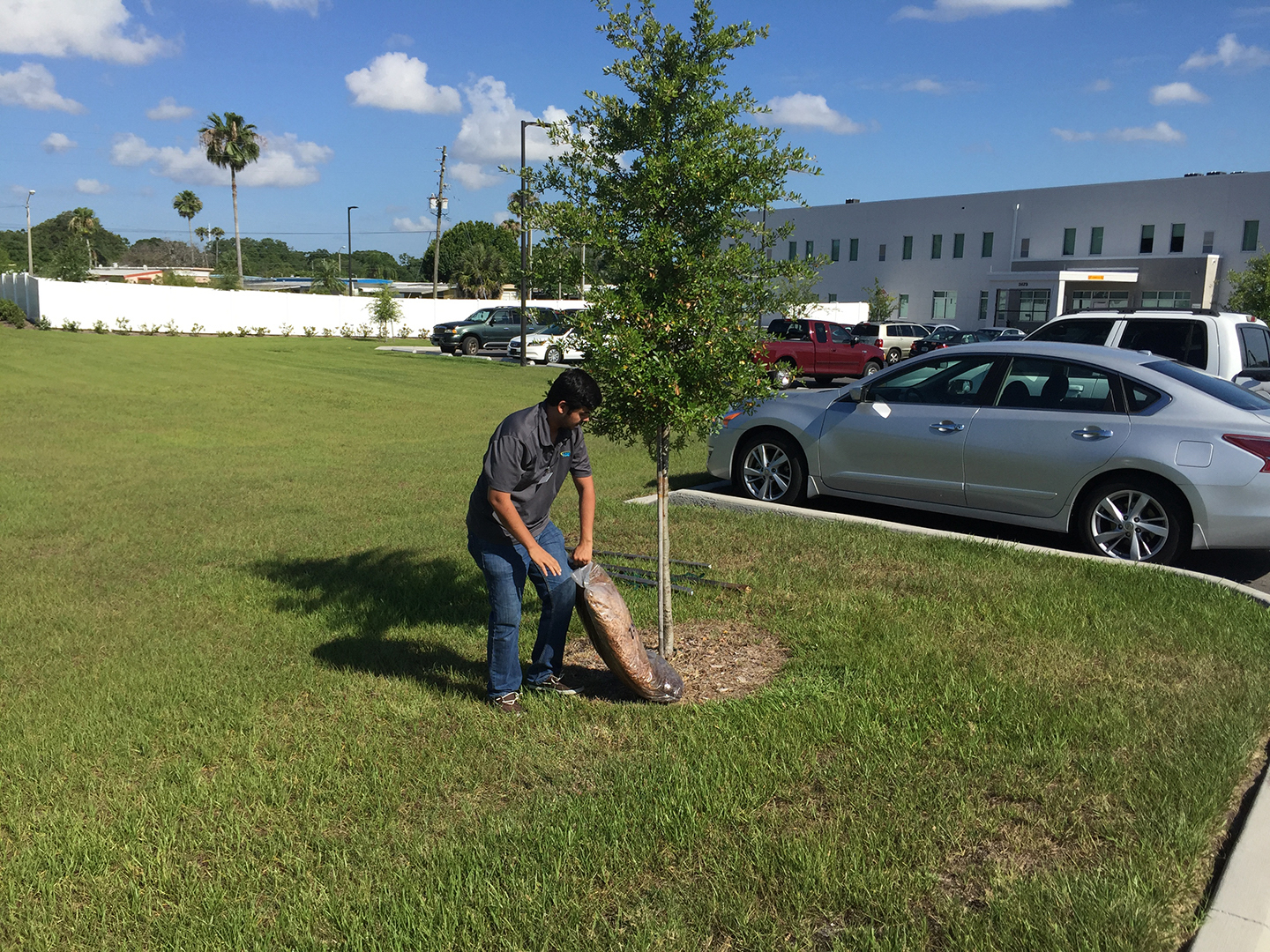 VIBE team member adding mulch to a tree at CASA