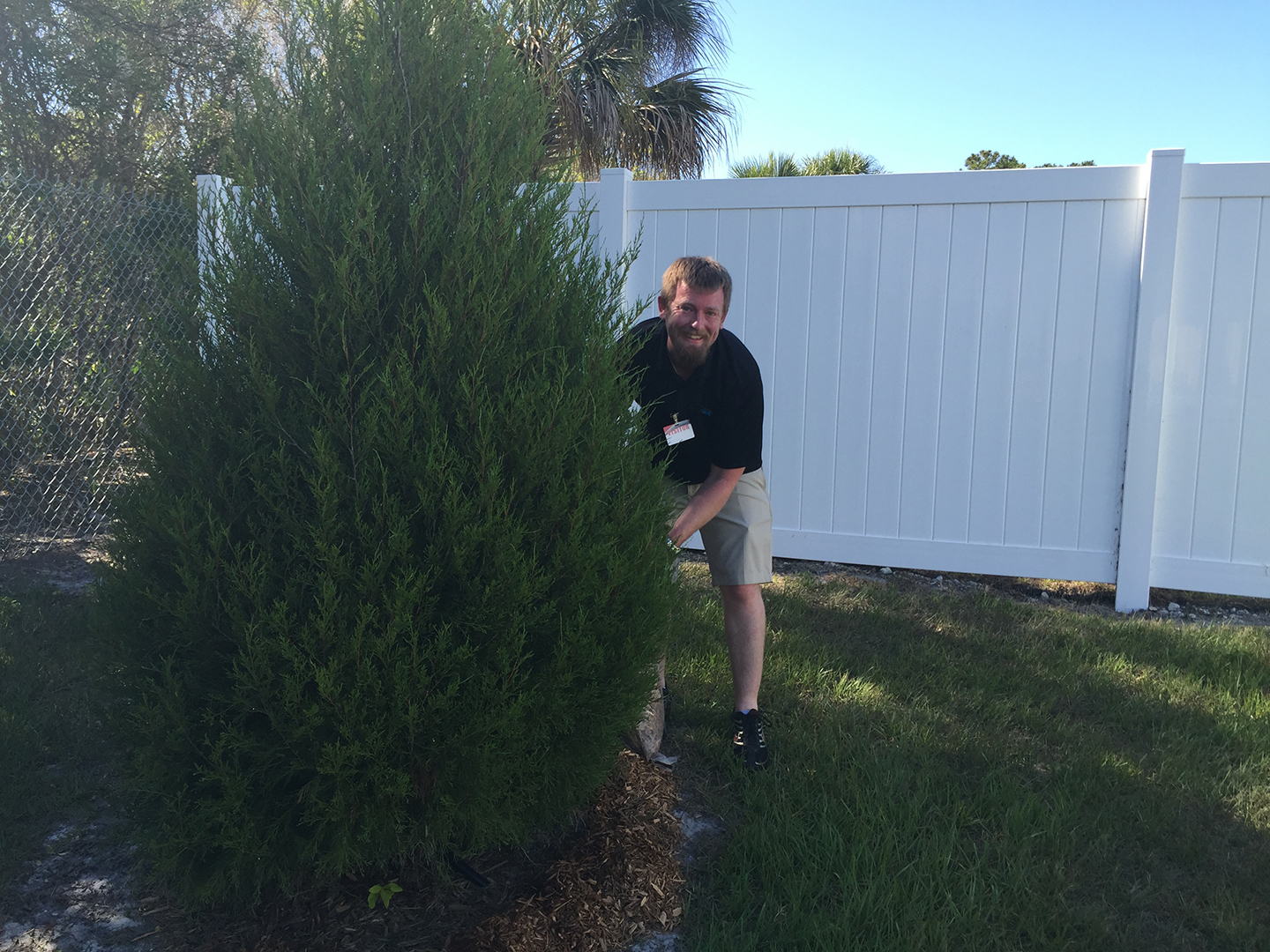 VIBE team member adding mulch to a tree at CASA