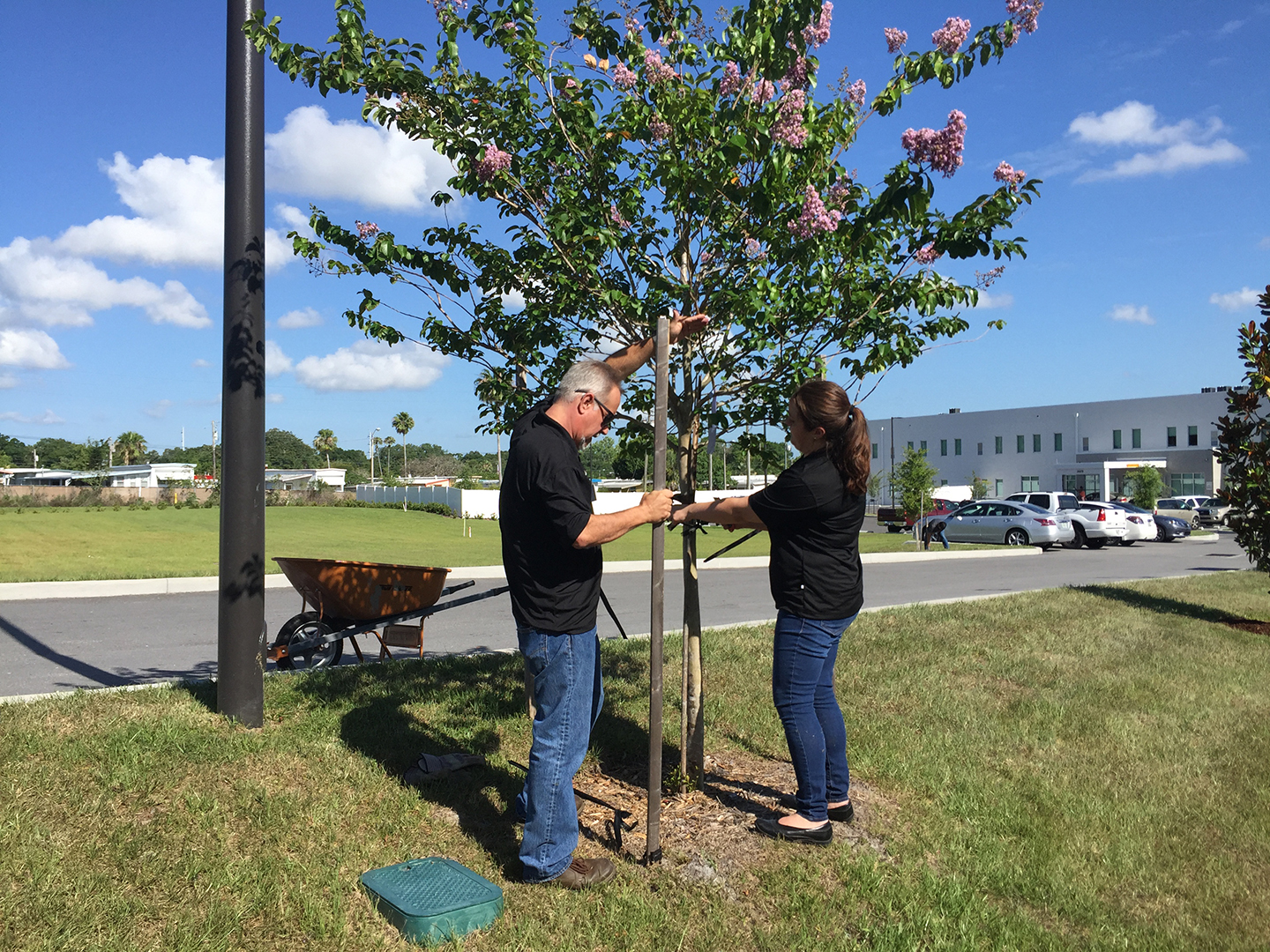 VIBE team members staking a tree at CASA