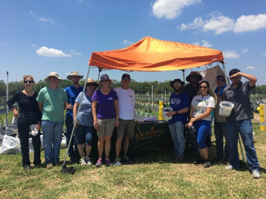 VIBE team at Feeding Tampa Bay After Picking Blueberries